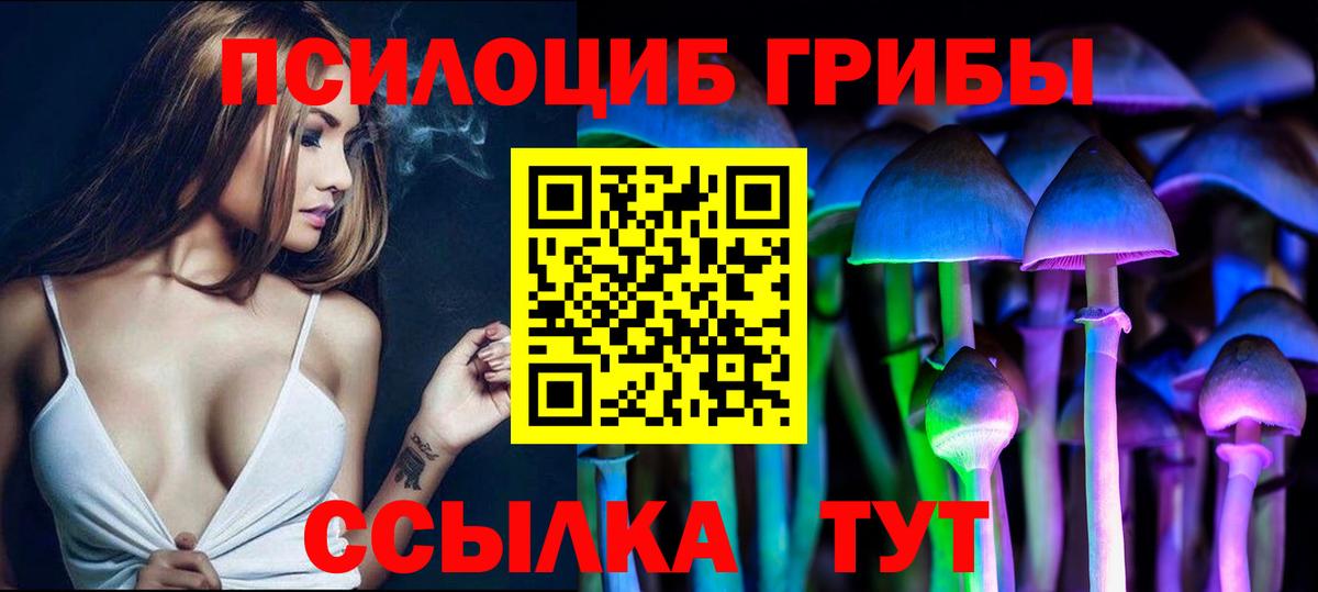 Галлюциногенные грибы Psilocybine cubensis Донецк